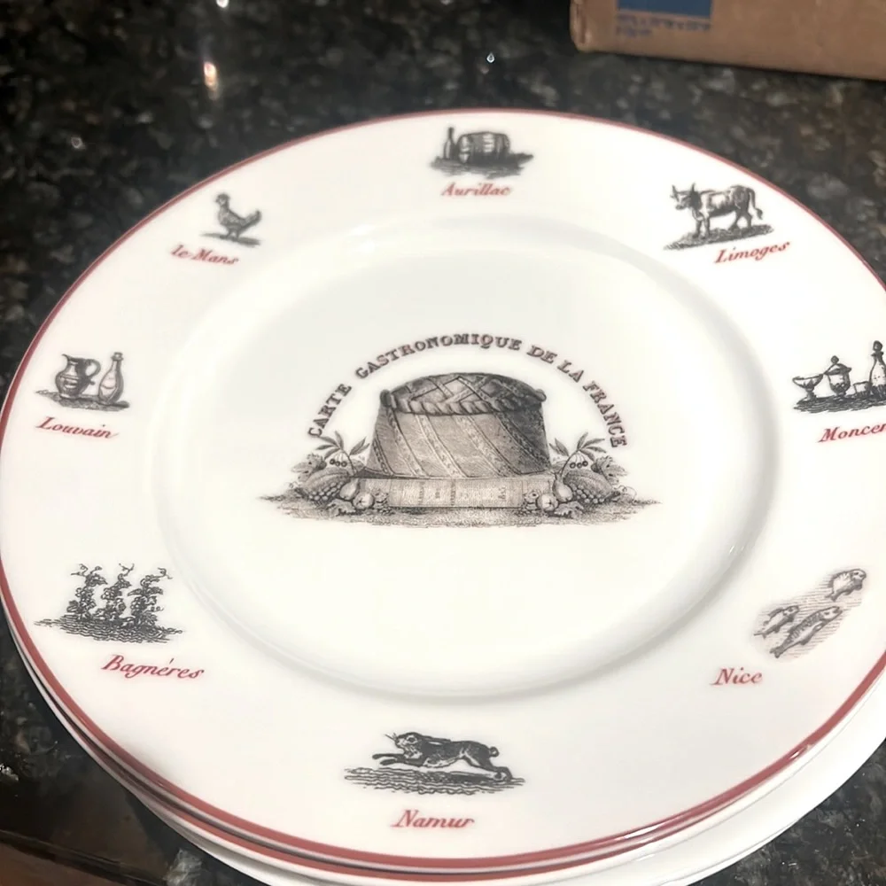 WILLIAMS SONOMA GASTRONOMIQUE Salad/appetizer plates (set of 4)